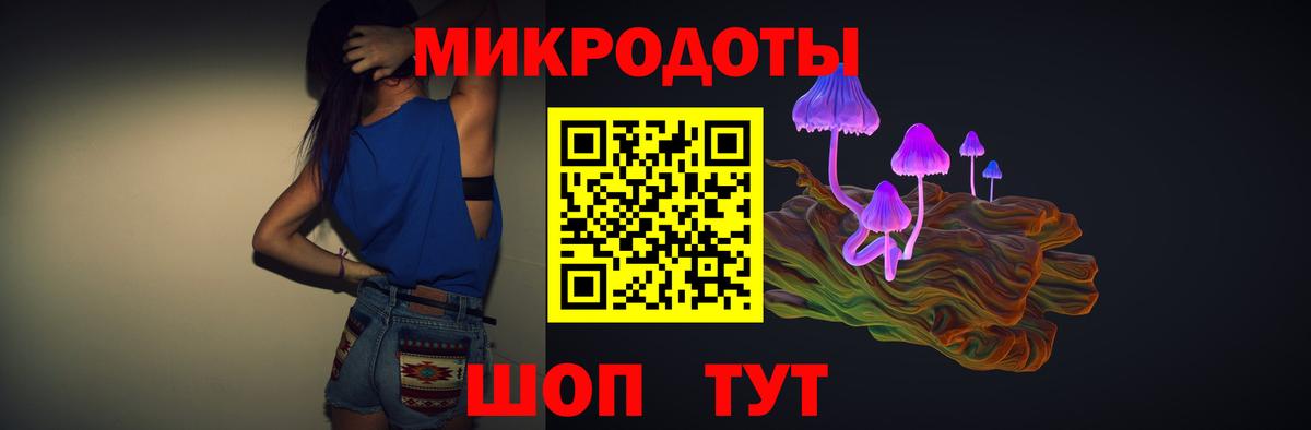 Псилоцибиновые грибы Psilocybine cubensis Сосновый Бор